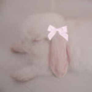 Meet your Posher, Jannah